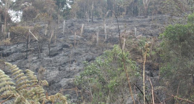 incendio_en serrana_de_peas blancas